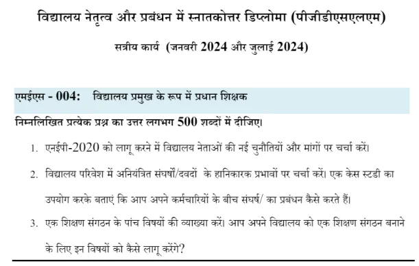 MES-04 - Head Teachers as School Leaders-January 2024 - July 2024