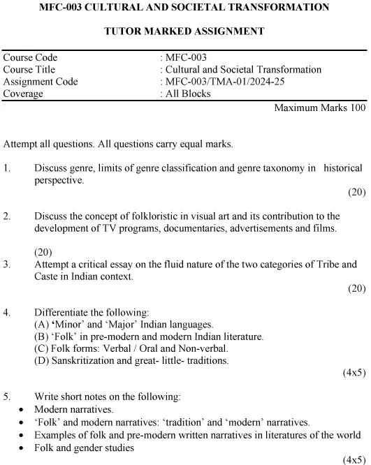 MFC-03 - Cultural and Societal Transformation-July 2024 - January 2025