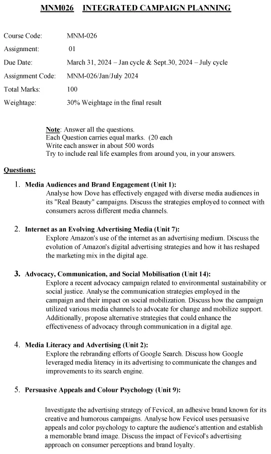 MNM-26 - Integrated Campaign Planning-January 2024 - July 2024