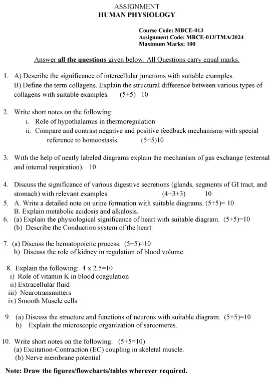 MBCE-13 - Human Physiology-January 2024 - December 2024