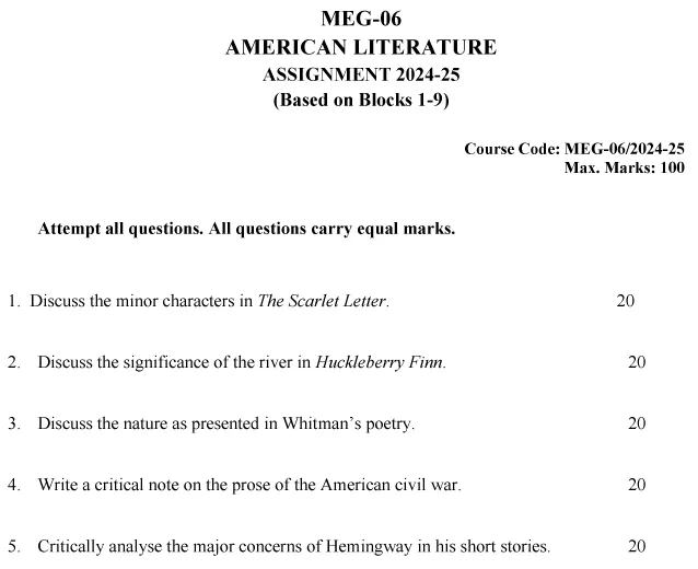 MEG-06 - American Literature-July 2024 - January 2025