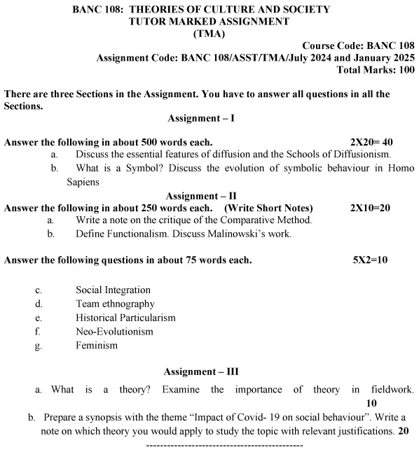 BANC-108 - Theories of Culture and Society-July 2024 - January 2025