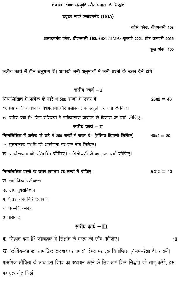 BANC-108 - Theories of Culture and Society-July 2024 - January 2025