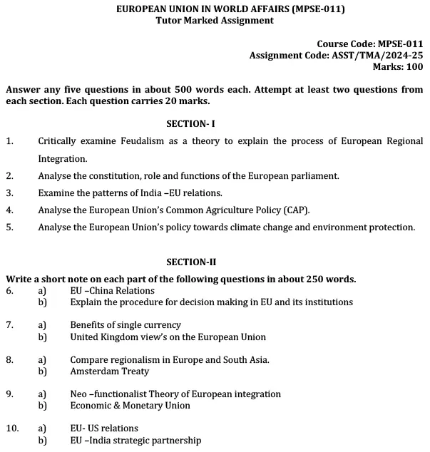 MPSE-11 - The European Union in World Affairs-July 2024 - January 2025