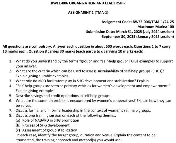 BWEE-06 - Organization and Leadership-July 2024 - January 2025