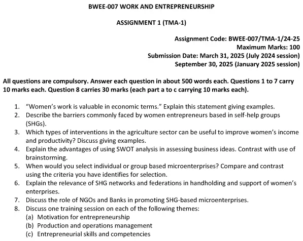 BWEE-07 - Work and Entrepreneurship-July 2024 - January 2025