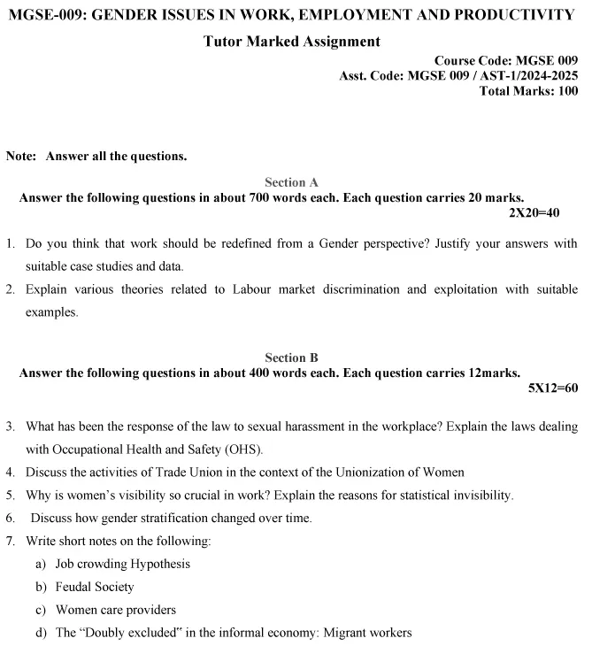 MGSE-09 - Gender Issues in Work Employment and Productivity-July 2024 - January 2025