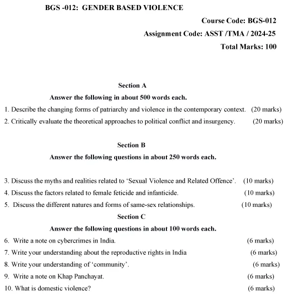 BGS-12 - Gender Based Violence-July 2024 - January 2025