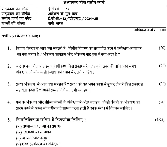 ECO-12 - Elements of Auditing-July 2024 - January 2025