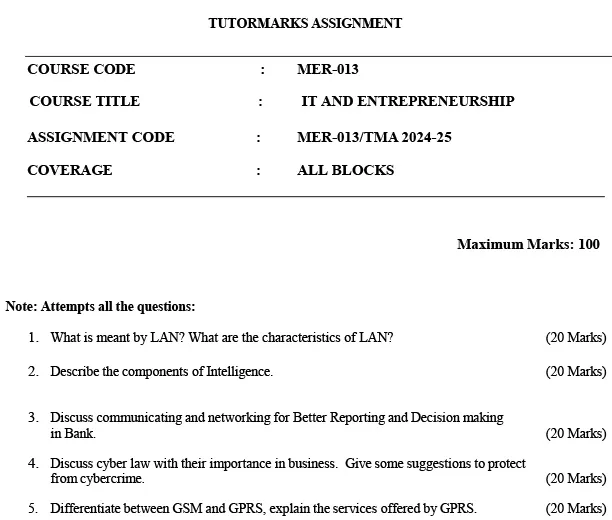 MER-13 - IT and Entrepreneurship-July 2024 - January 2025