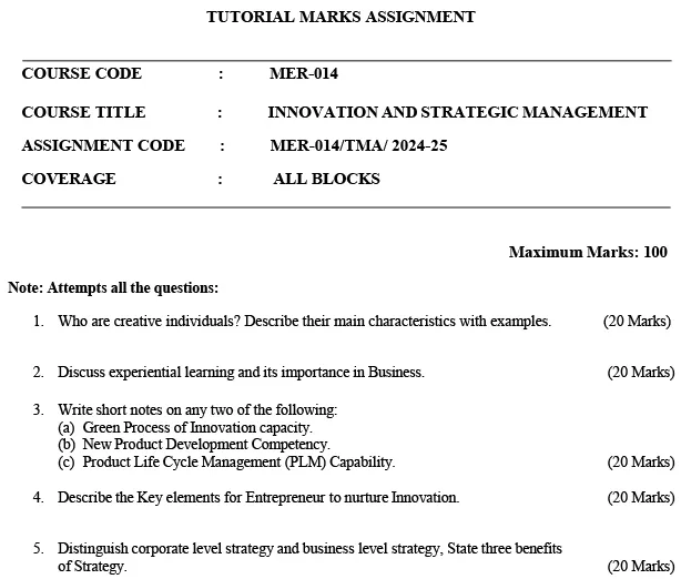 MER-14 - Innovation and Strategic Management-July 2024 - January 2025