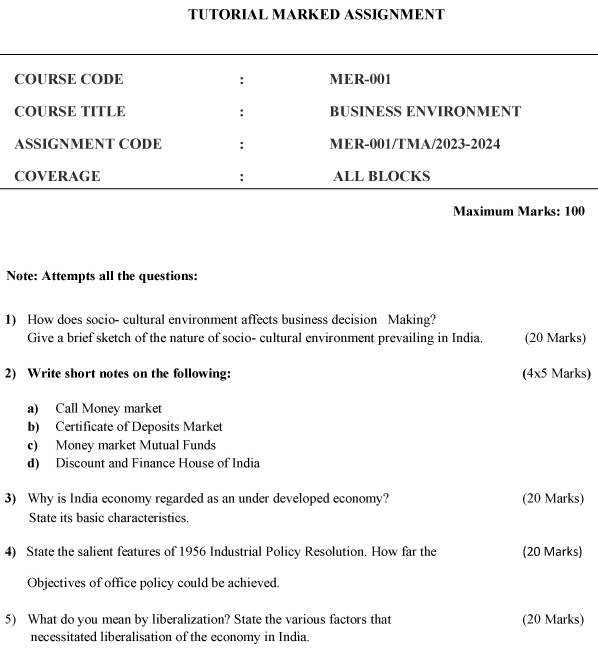 MER-01 - Business Environment-July 2023 - January 2024