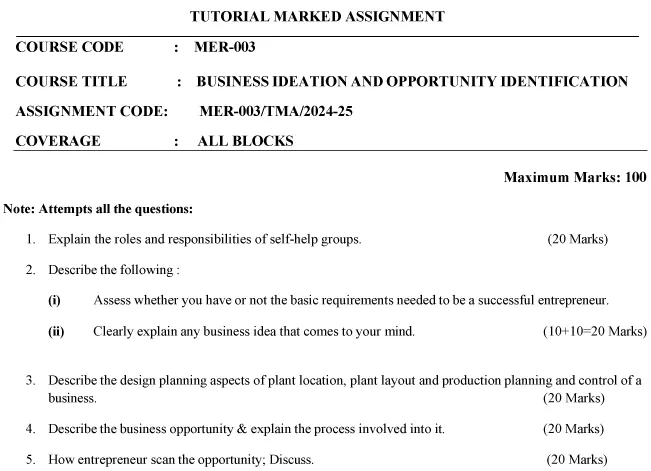 MER-03 - Business Ideation and Opportunity Identification-July 2024 - January 2025