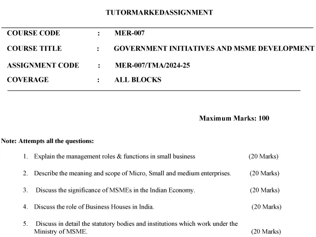 MER-07 - Government Initiatives & MSME Development-July 2024 - January 2025