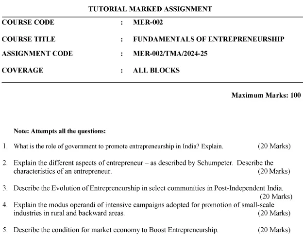 MER-02 - Fundamentals of Entrepreneurship-July 2024 - January 2025