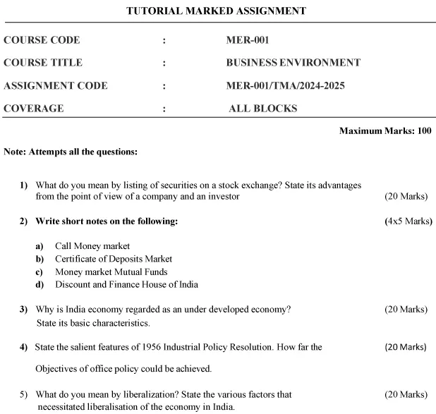 MER-01 - Business Environment-July 2024 - January 2025