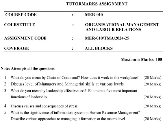 MER-10 - Organizational Management and Labour Relations-July 2024 - January 2025