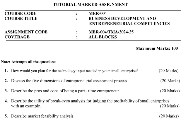 MER-04 - Business Development and Entrepreneurial Competencies-July 2024 - January 2025