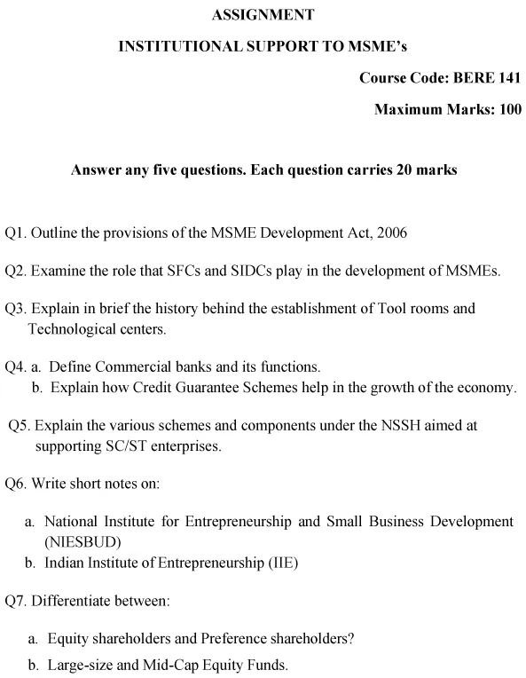 BERE-141 - Institutional Support to MSMEs-July 2024 - January 2025