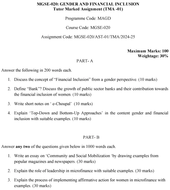 MGSE-20 - Gender and Financial Inclusion-July 2024 - January 2025