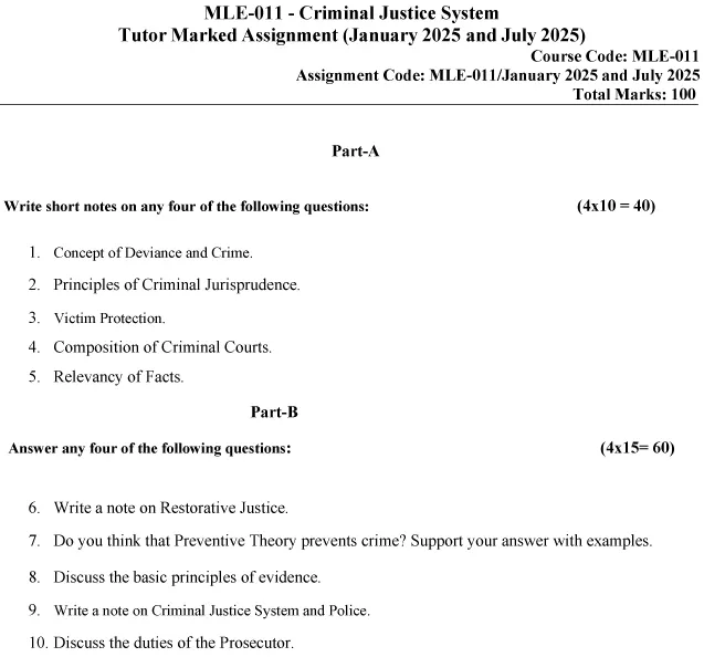 MLE-11 - Criminal Justice System-January 2025- July 2025