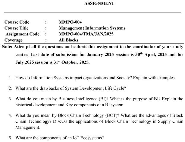 MMPO-04 - Management Information Systems-January 2025- July 2025