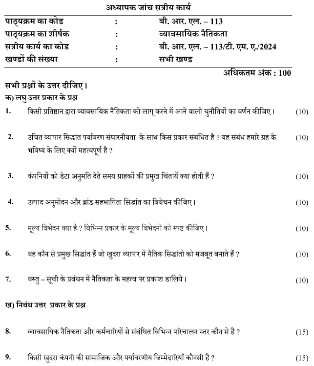 BRL-113 - Business Ethics-January 2025 - December 2025