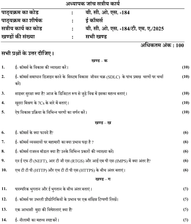 BCOS-184 - E-Commerce-January 2025 - December 2025