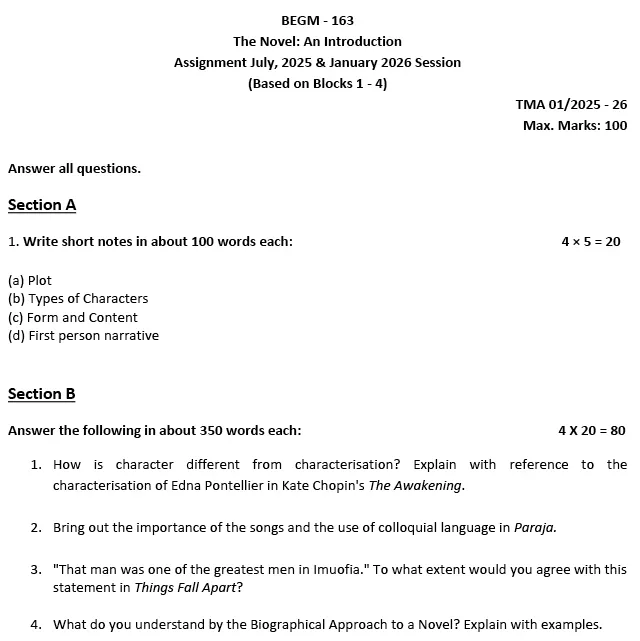 BEGM-163 - The Novel: An Introduction-July 2025 - January 2026